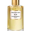Fabulous Yuzu by Mancera